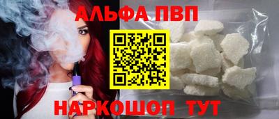 тгк Кингисепп
