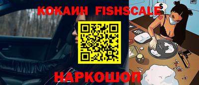 тгк Кингисепп