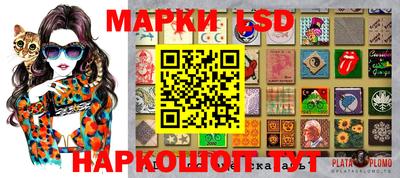 тгк Кингисепп