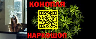 тгк Кингисепп