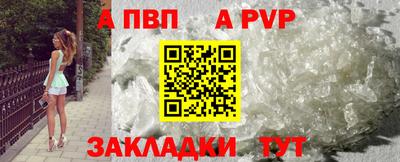тгк Кингисепп