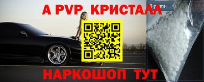 тгк Кингисепп