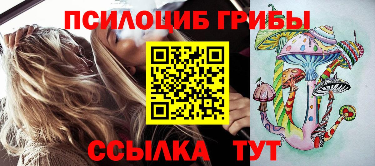 Псилоцибиновые грибы Psilocybe Ишимбай