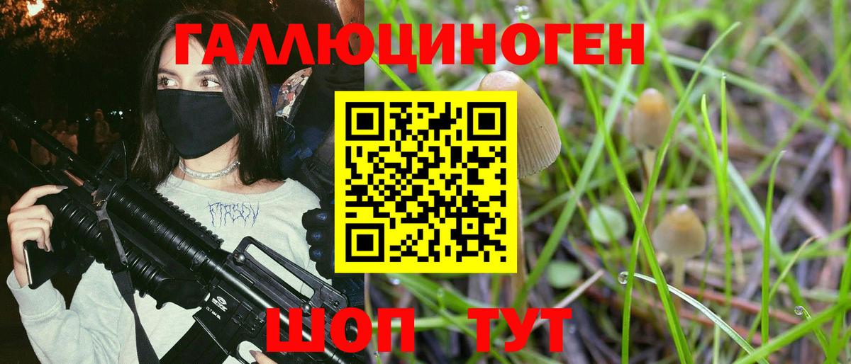 Ишимбай  Псилоцибиновые грибы Psilocybine cubensis  Вход с VPN 